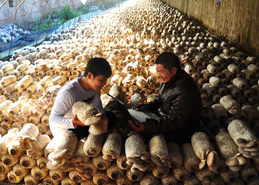 534 《淘金》.JPG