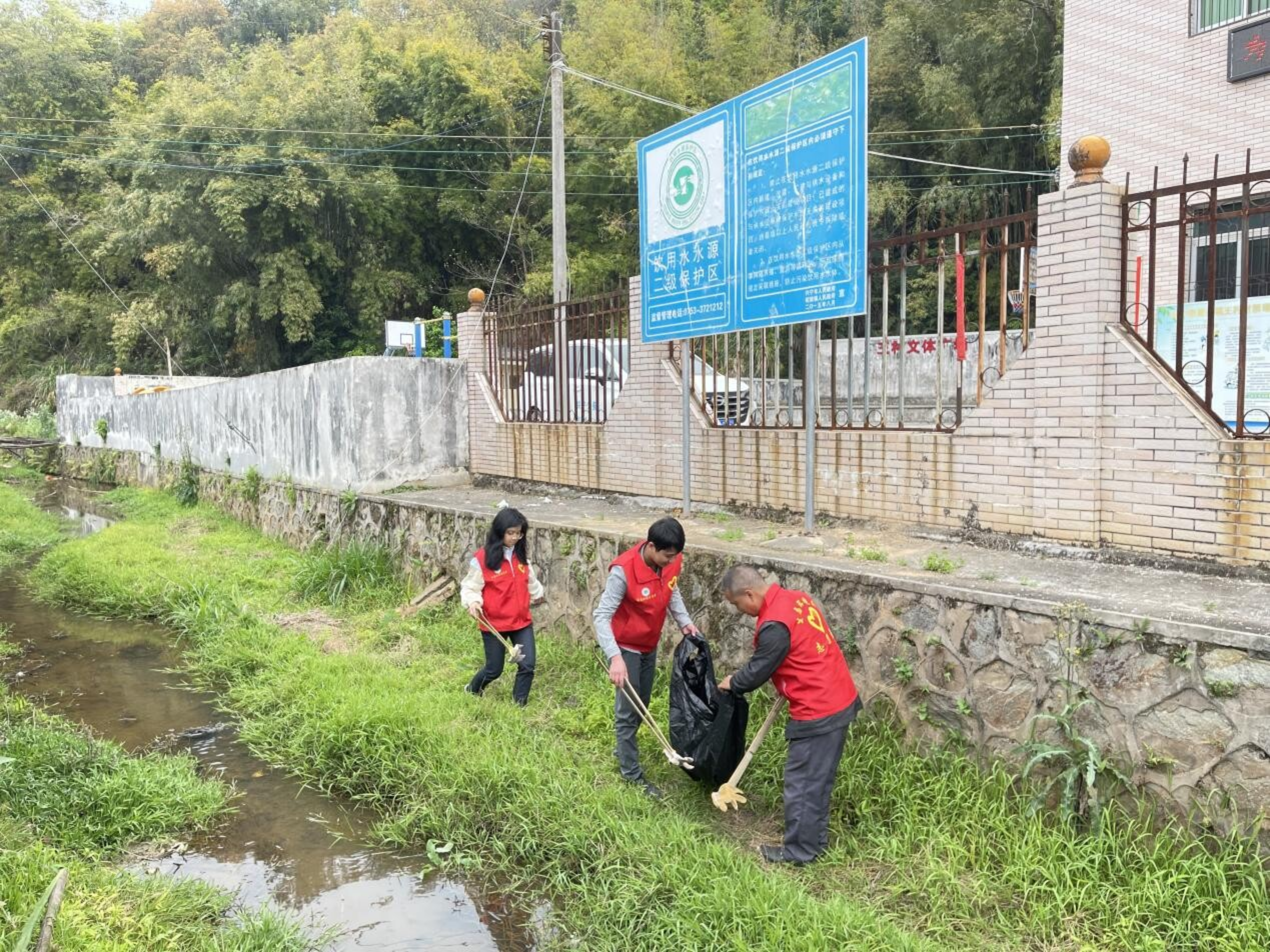  志愿同心，护绿同行_6