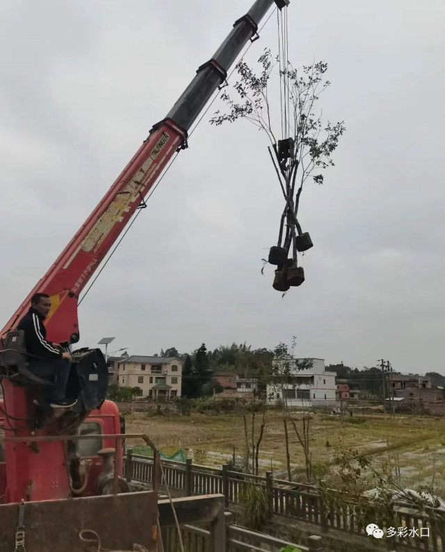 1585212133500530.png 图片