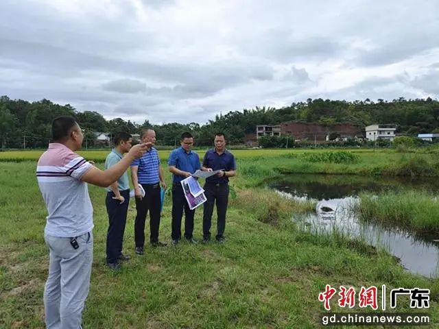 镇村干部实地调研产业发展。(水口党政办供图) 图片