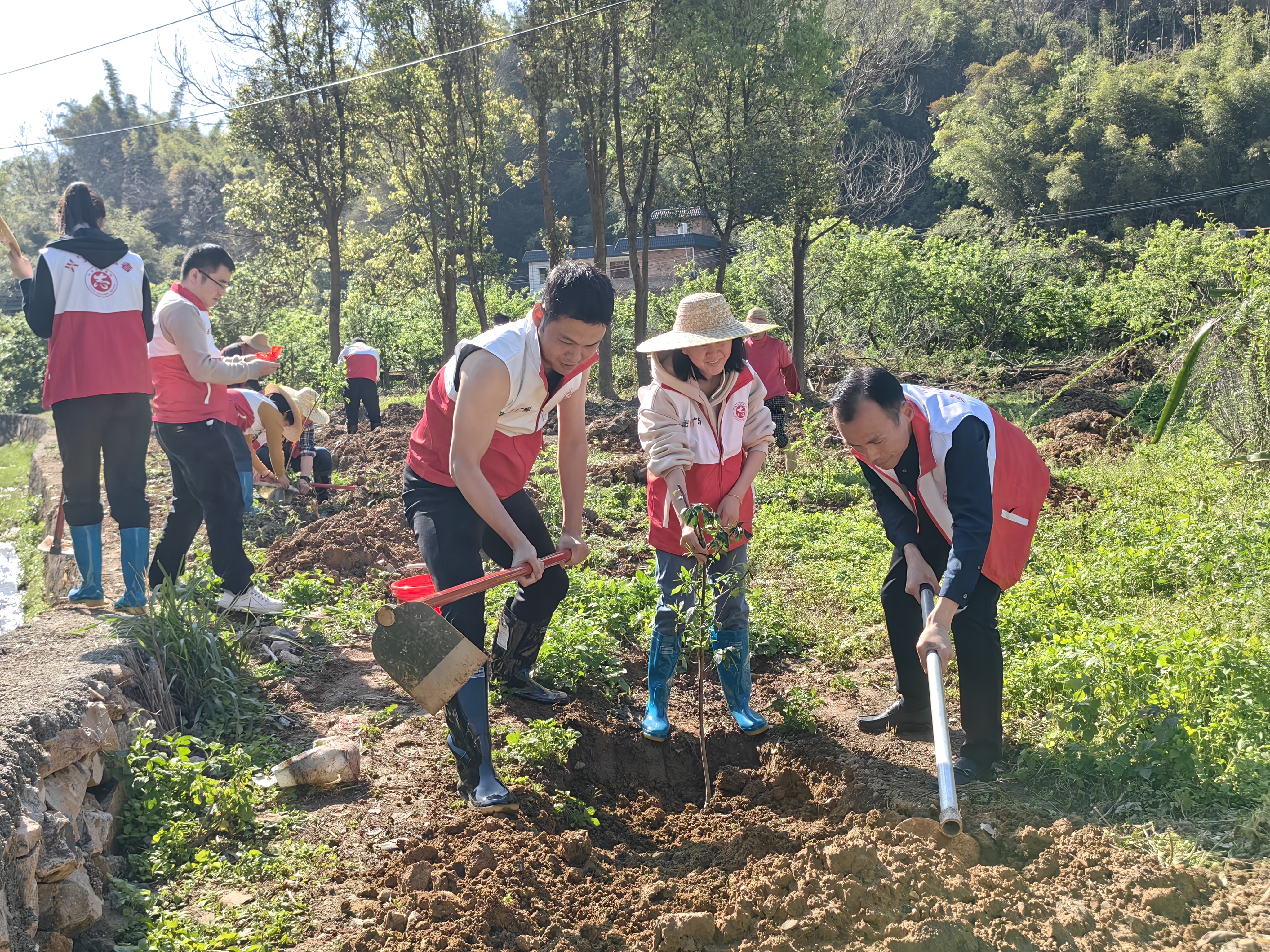 “全面推进乡村绿化 建设美丽宜居广东”义务植树活动图.jpg