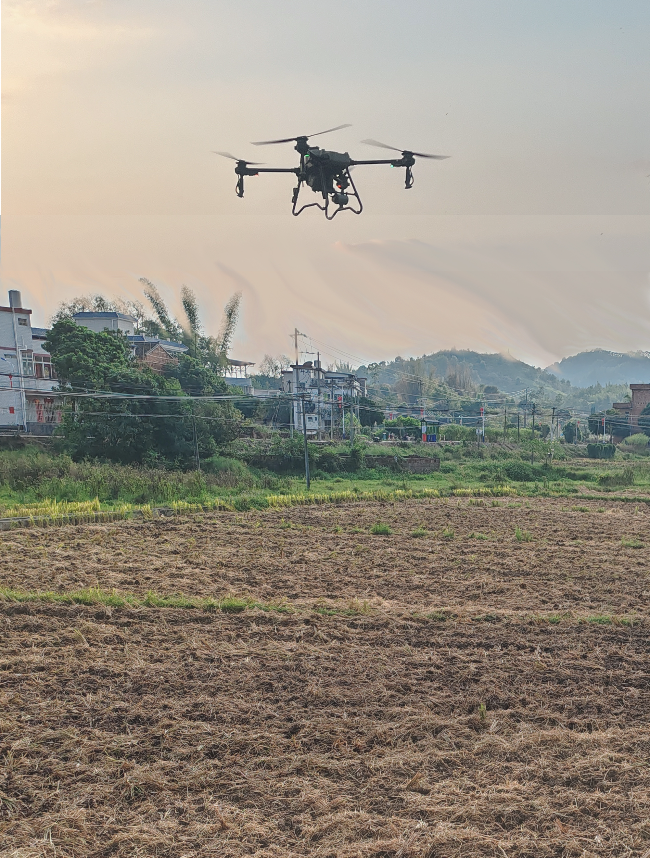 无人机播撒种子.jpg