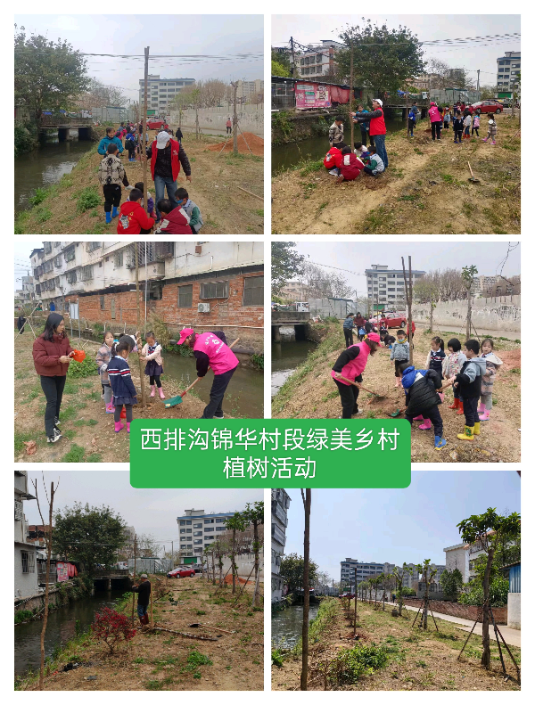 二、开展绿美兴宁行动生态建设2.jpg