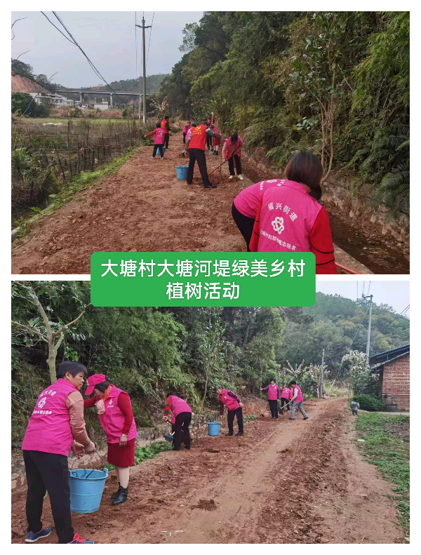 二、开展绿美兴宁行动生态建设3.jpg