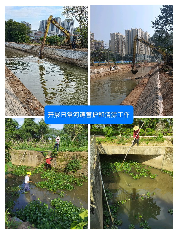 三、河道日常管护和清漂工作1.jpg