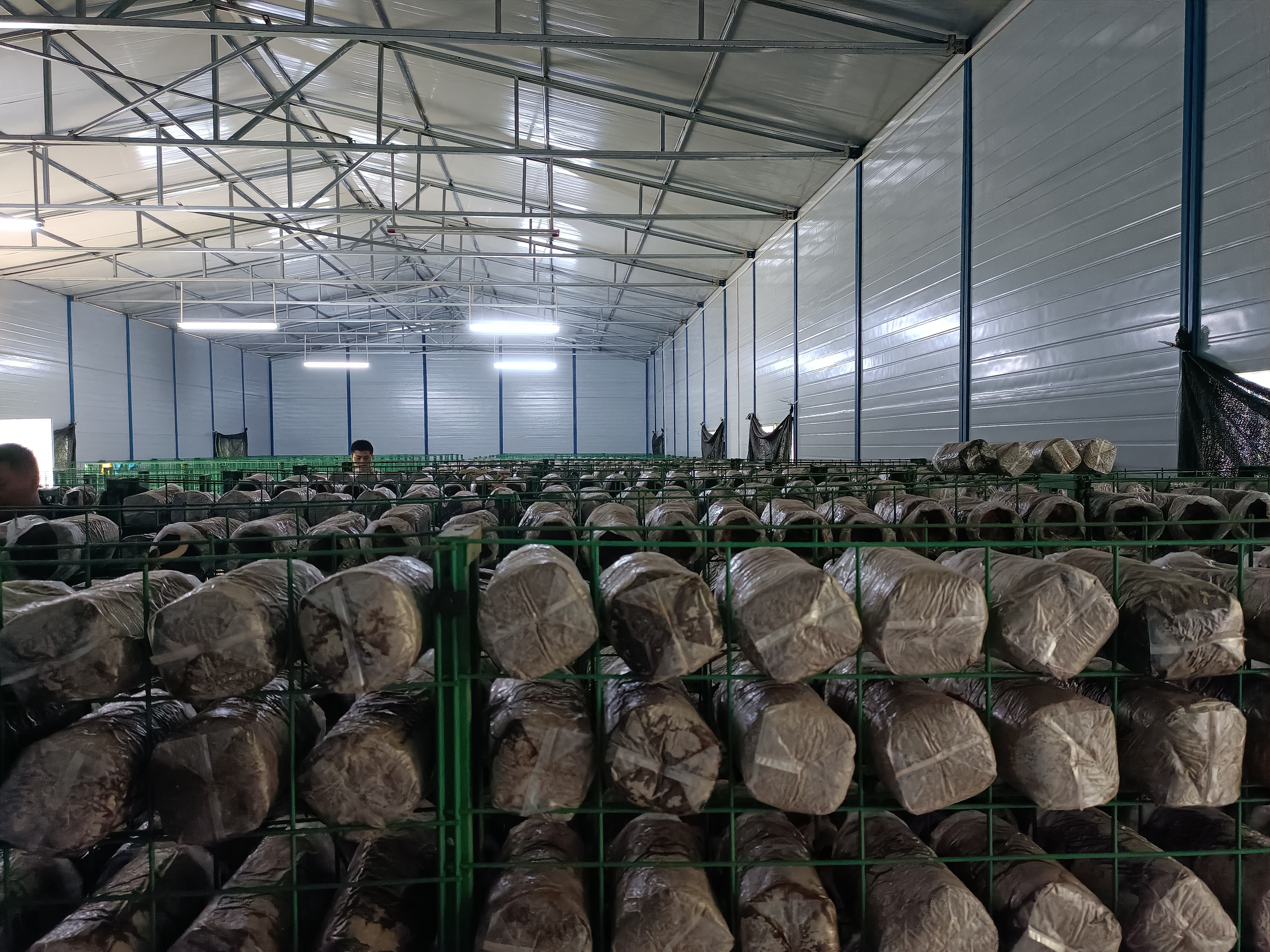 20250523 赴蕉岭参观学习 (3).jpg