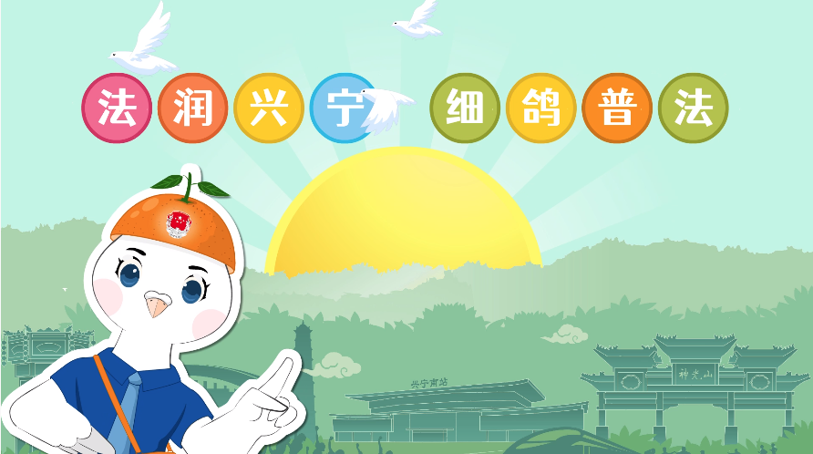 图片4：《法润兴宁 细鸽普法》微动漫专栏.png